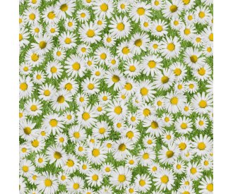Клеенка Photoprint, Италия арт. 702